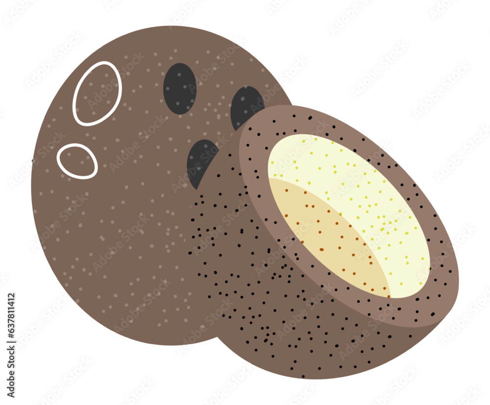 Coconut tropical exotic fruit with milk vector Coconut tropical exotic fruit with milk vector