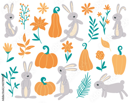 Cute bunnies  herbs and flowers autumn set. Hand drawn fall collection with rabbits and botanical elements. Hares clip art  vector illustration