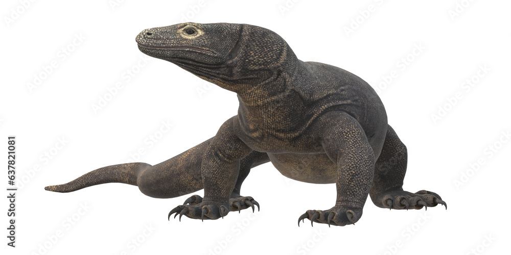 Comodo Dragon isolated on a Transparent Background Comodo Dragon isolated on a Transparent Background