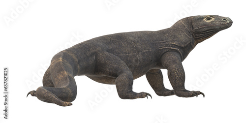 Comodo Dragon isolated on  a Transparent Background