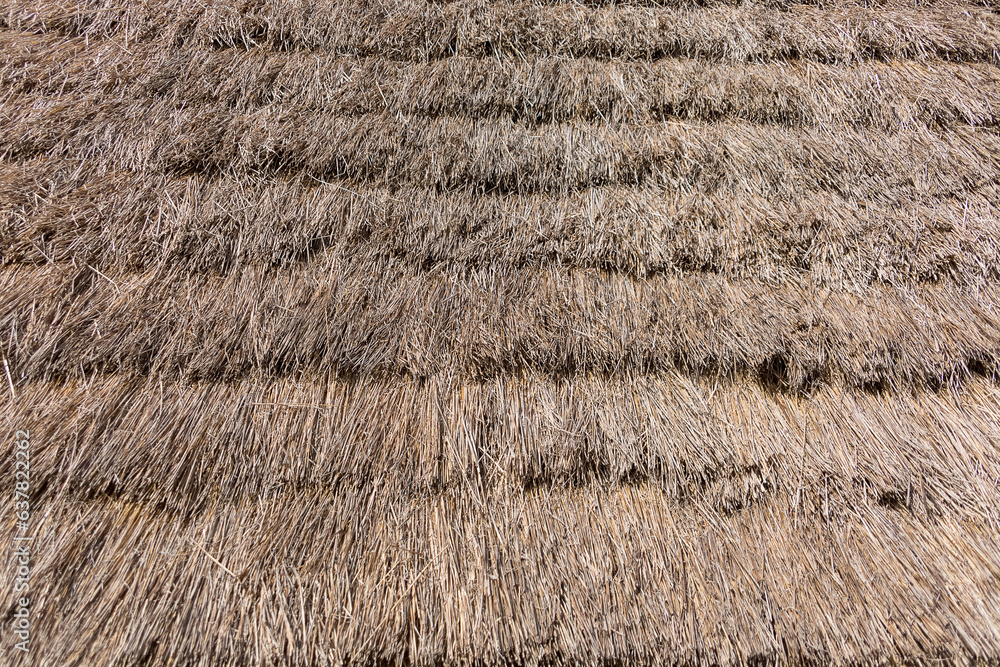 Texture view of the roof typical of traditional houses on the island of Madeira, in thatch or straw Texture view of the roof typical of traditional houses on the island of Madeira, in thatch or straw