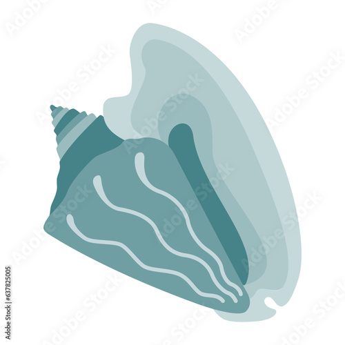 Seashell