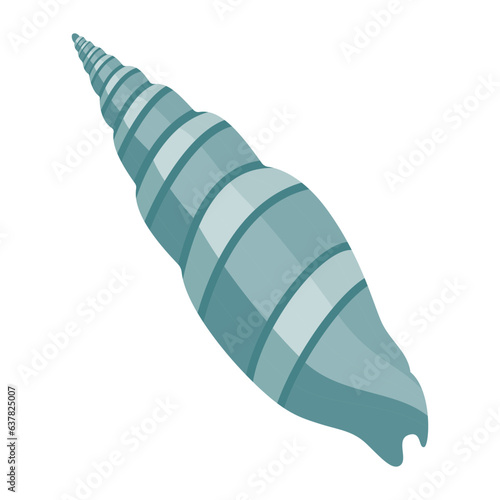 Seashell
