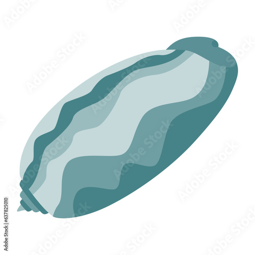 Seashell