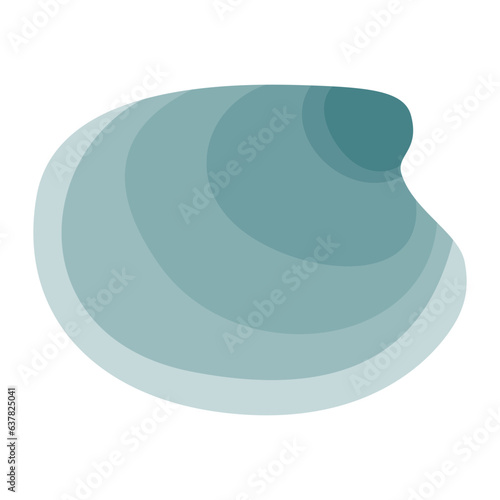 Seashell