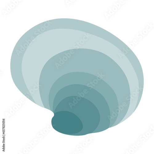 Seashell