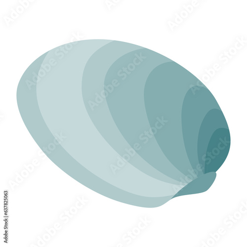 Seashell