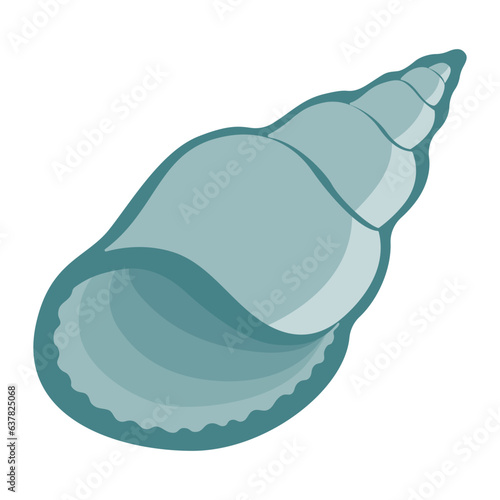 Seashell