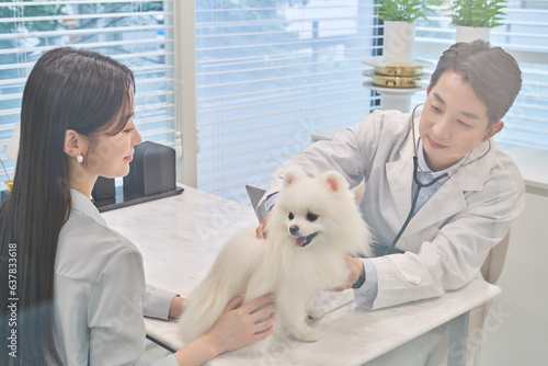 한국 의료 메디컬 포메라니안 강아지 애완견 애완동물 펫샵 동물병원 수의사 상담 진료받고 있는 견주 손님 고객 모습