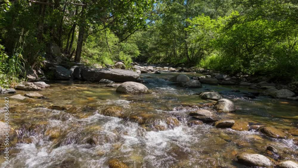 timelapse of a river in the forest timelapse of a river in the forest