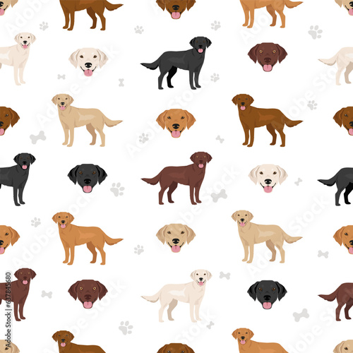 Goldador seamless pattern. Golden retriever Labrador mix. Different coat colors set