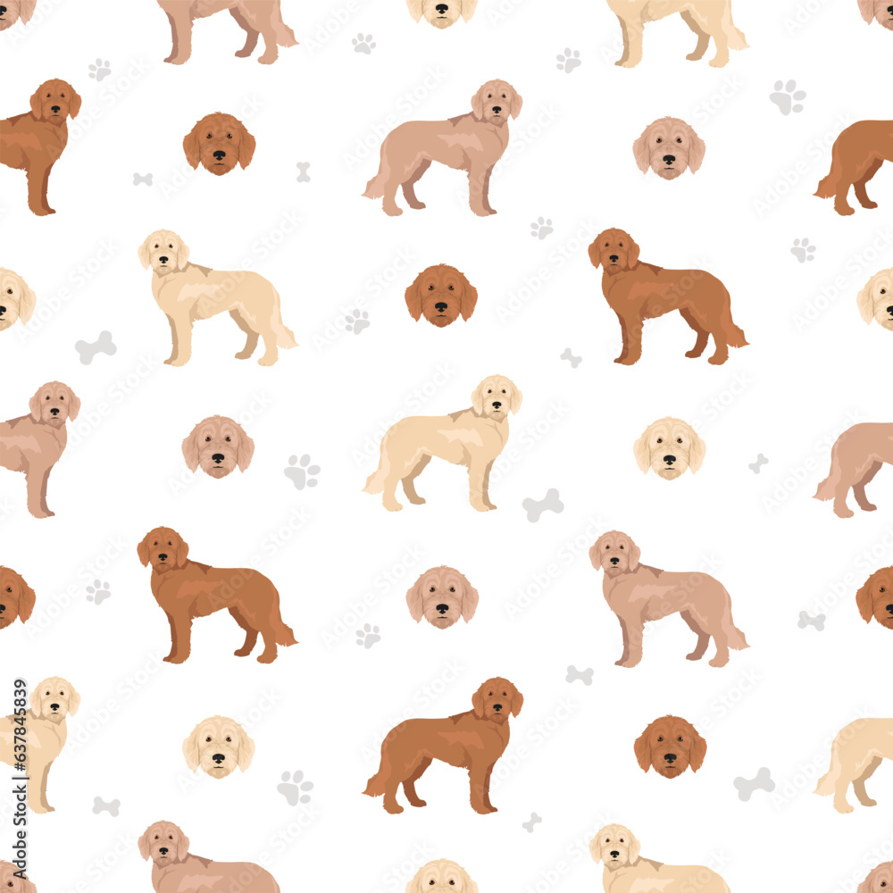 Labradoodle seamless pattern. Different poses, coat colors set