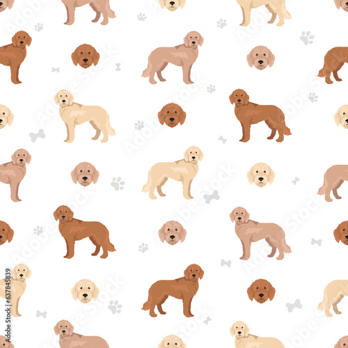 Labradoodle seamless pattern. Different poses  coat colors set