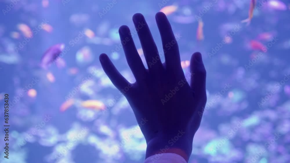 close-up of a human hand touching an aquarium, a person trying to get in touch with the animal world close-up of a human hand touching an aquarium, a person trying to get in touch with the animal world