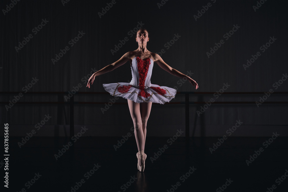Graceful female ballerina standing on tiptoes in pointe shoes