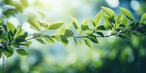 AI Generated. AI Generative. Foliage forest tree leaves plant green nature outdoor mock up background decoration. Can be used for graphic art presentation 