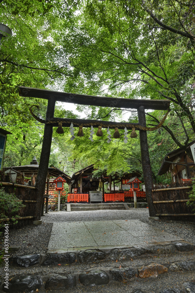 野宮神社の黒木の鳥居と本殿