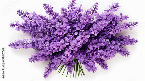 Top view of a bouquet of lavender flowers isolated on white background