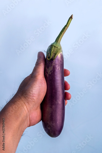 hand holding eggplant