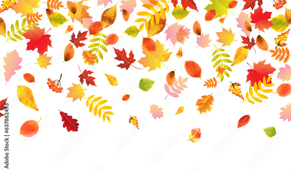 autumn leaves background autumn leaves background