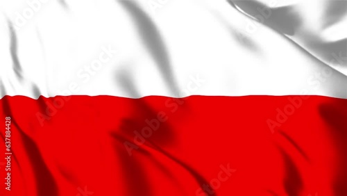 ポーランドの国旗がはためいています。30秒でループします。