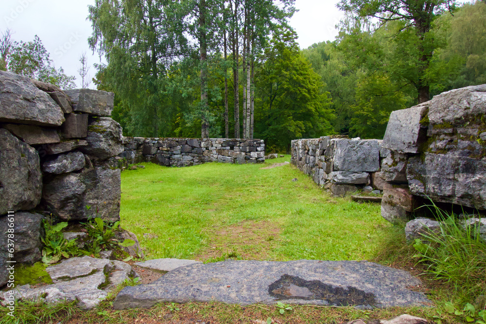 Wood in Oslo Sarabråten Ruins near Oppsal 
