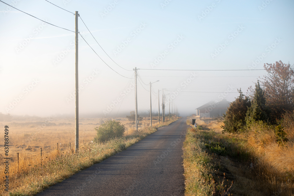 View of power line along country road at foggy day View of power line along country road at foggy day