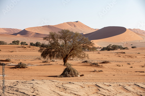 Fototapeta Naklejka Na Ścianę i Meble -  Dunes dans le désert du Namib, Namibie