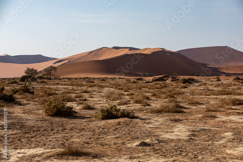 Dunes dans le désert du Namib, Namibie