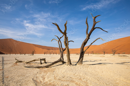 Dead Vlei dans le désert du Namib en Namibie
