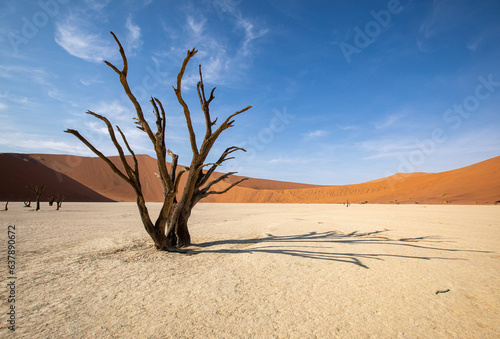 Dead Vlei dans le désert du Namib en Namibie photo