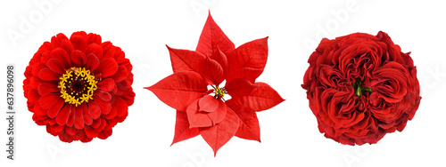 Set of different red flower...