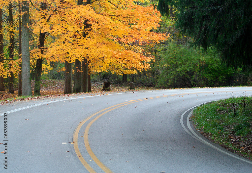 Fototapeta premium Fall Colors and Winding Road at Local Park in Indianapolis, IN,USA