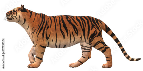 Tiger isolated on a Transparent Background