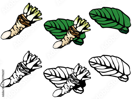 山わさびのイラストセット