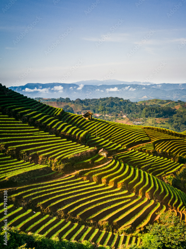 Panyawuyan terraces, enchanting natural beauty in Majalengka, West Java. With fresh mountain air and cool air, it makes anyone who is here calm and relaxed.