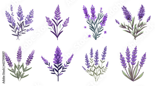 Lavender Flower Hand Drawn Illustration, Cute Decorative Elements Set