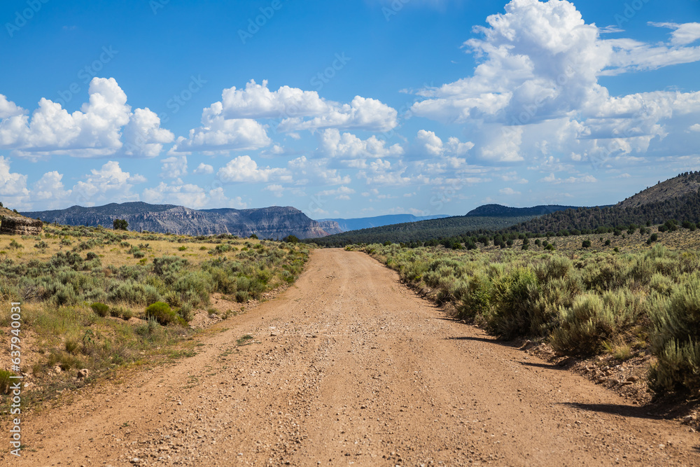 A rural dirt road leading off to distant mountains under a partially cloudy blue sky. A rural dirt road leading off to distant mountains under a partially cloudy blue sky.