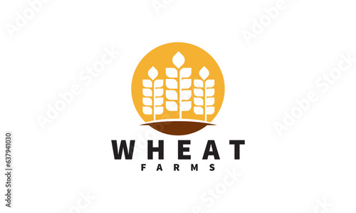 Wheat grain logo design vector. Grain wheat field logo concept  agriculture wheat logo template