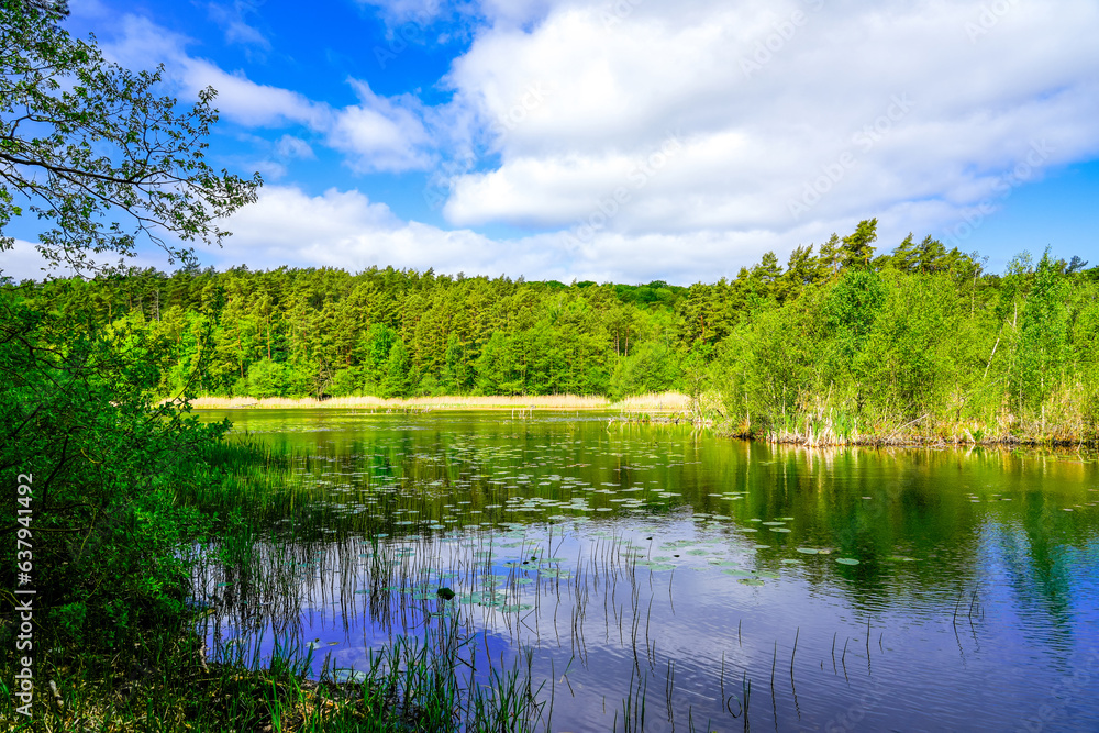 Small Neuendorfer lake Jezioro Zatorek in Poland. Inland lake on the Polish Baltic Sea island of Wolin near the national park. Landscape at the lake with the surrounding green nature.
