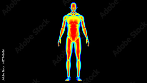 Human body temperature Warm, normal cold. Man thermographic illustration 3D rendering