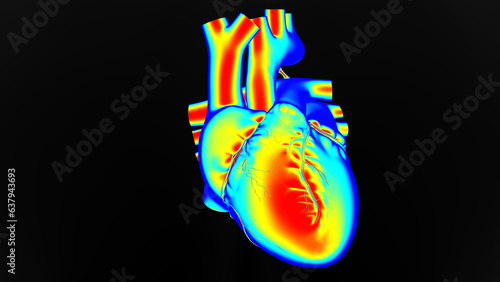 Human heart temperature Warm, normal cold. Man thermographic illustration 3D rendering photo