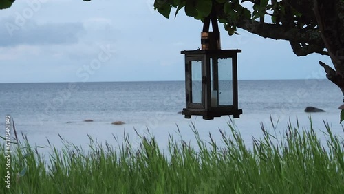 A candle flashlight on a tree by the sea.
