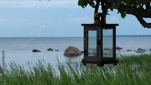 A candle flashlight on a tree by the sea.