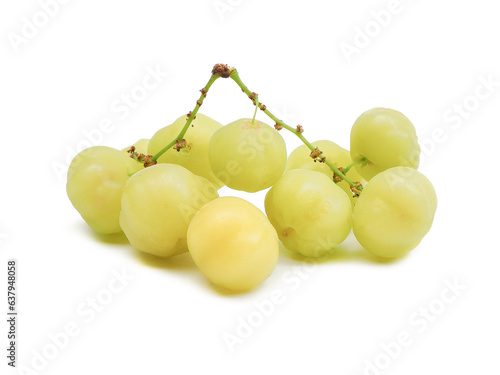 fresh organic sour gooseberry laying on white background small gooseberry Contains antioxidants to help slow down aging Help in matters of the excretory system. and is high in vitamin C.