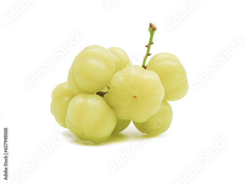 fresh organic sour gooseberry laying on white background small gooseberry Contains antioxidants to help slow down aging Help in matters of the excretory system. and is high in vitamin C.