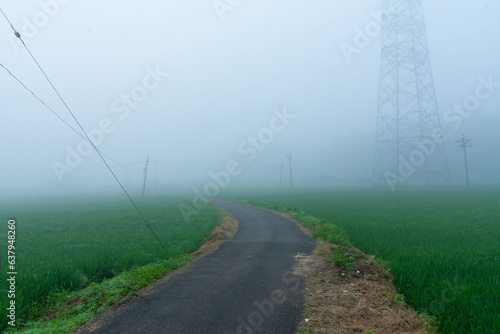 Foggy morning photo