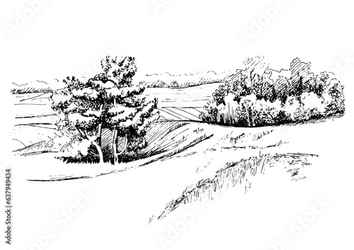 Rural landscape and tree. Vector hand drawn vintage engraved sketch.