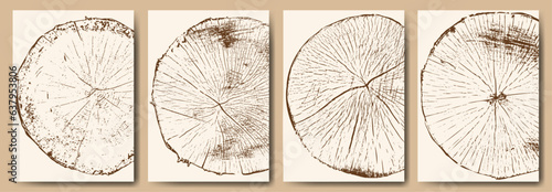 Cross-section of a tree. Set of posters with wood. Ring pattern, growth layers of deciduous trees. A tree trunk in section. Vector illustration.