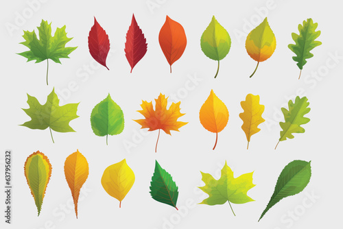 a big bright autumn leaves in set